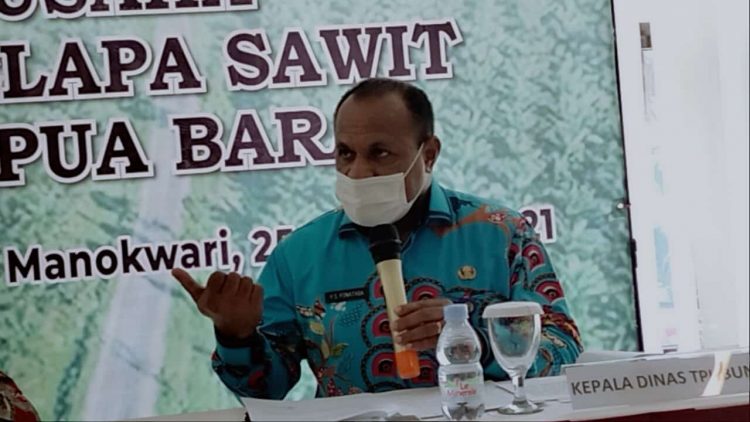 Lahan Seluas 52 Ribu Ha Dikembalikan Perusahaan Perkebunan Kelapa Sawit Ke Pemda Papua Barat