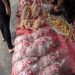 Harga Ayam Beku Naik Tembus Angka Rp28.000 Per Kilo 8 Harga Ayam