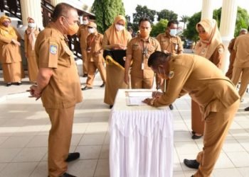 Pemkab Halut Umumkan Tahapan Pendaftaran CPNS dan P3K
