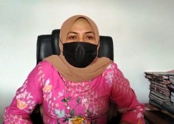 Lebih dari Seribu Rebut 479 Formasi CPNS dan P3K Di Malteng