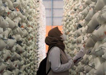 Mendag Lutfi : Tidak Akan Impor Beras di Tengah PPKM Darurat
