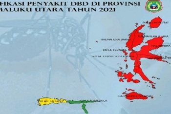 Dinkes Malut Petakan Penanganan Kasus DBD Untuk 10 Kabupaten/Kota