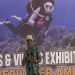 Photos and Videos Exhibition Underwater