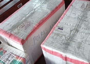 Dinkes Papua Beri 30 Liter Malathion, Basmi Nyamuk di Asmat