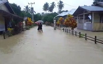 Banjir Bandang Kembali Terjang Desa Sabuai Warga Sebut Dampak Penebangan Liar.