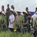 Kodam XVI Pattimura Dukung Ketahanan Pangan Di Wilayah Maluku 8 Kodam XVI Pattimura Dukung Ketahanan Pangan Di Wilayah Maluku