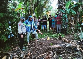 Mayat EW Ditemukan di Hutan Kelapa Desa Nuruwe, Diduga Dihabis Sang Suami