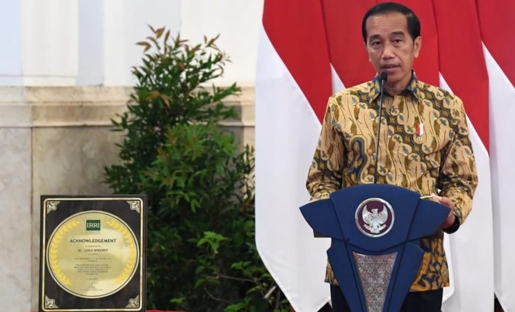 Presiden Jokowi Tegaskan Pemerintah Jamin Ketercukupan Ketahanan Pangan Nasional
