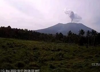 Erupsi Gunung Ibu di Maluku Utara, Lontarkan Abu Vulkanik Setinggi 800 Meter