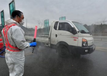 Korea Selatan Konfirmasi Kasus Flu Burung Pertama Dalam 6 Bulan
