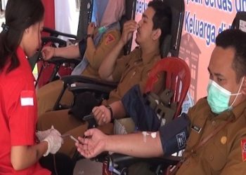 Donor Darah