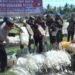 Polres Malteng Musnahkan 4,3 Ton Miras Tradisional