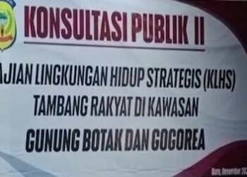 Konsultasi Publik