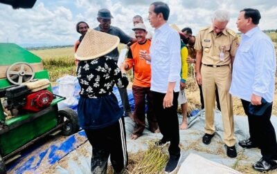 Pemerintah Segera Umumkan HPP Gabah Terbaru 1 Pemerintah Segera Umumkan HPP Gabah Terbaru