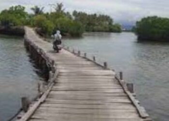 Pulau Osi