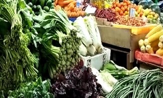 Sayur Mayur