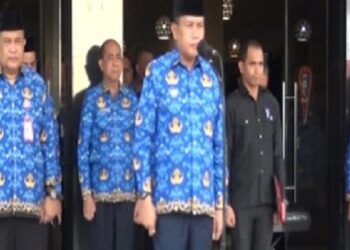 Walikota