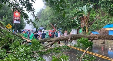 Longsor Dan Pohon Tumbang Tutup Jalan Di Ambon Akibat Cuaca Ekstrem 1 Longsor