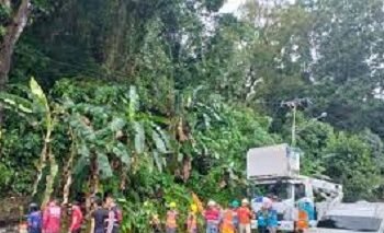 PLN UP3 Ambon Pulihkan Suplai Listrik