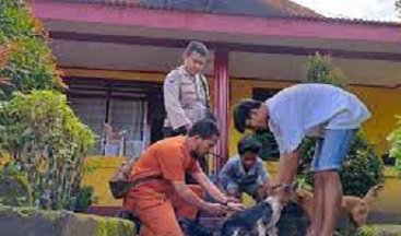 Cegah Rabies , DPKP Ambon Vaksin Ratusan Ekor Anjing 1 vaksin