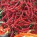 Cabai Merah