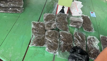Barang Bukti Penyelundupan ganja dari Papua Nugini (PNG) ke wilayah Jayapura, Papua