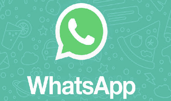 WhatsApp Uji Coba Tombol "Like" untuk Reaksi Status 14 Logo aplikasi WhatsApp