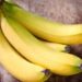 Manfaat Pisang Ambon Untuk Bayi Membantu Pertumbuhan 8 Manfaat Pisang Ambon Untuk Bayi