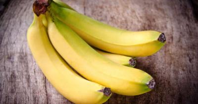 Manfaat Pisang Ambon Untuk Bayi Membantu Pertumbuhan 1 Manfaat Pisang Ambon Untuk Bayi