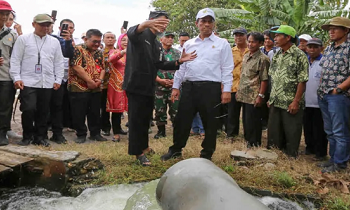Menteri Pertanian Andi Amran Sulaiman