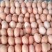 Telur