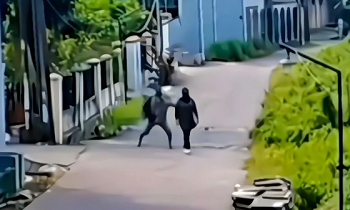 Seorang wanita ditimpuk batu oleh seorang pria tak dikenal