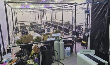 bareskrim polri mengungkap laboratorium ganja hidroponik dan mephedrone yang diproduksi wn ukrania dan rusia di vila di kawasa 1 169