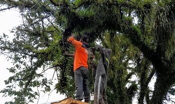 BPBD Ambon
