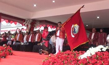 Image1 4
