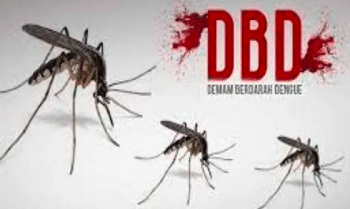 Ilustrasi DBD
