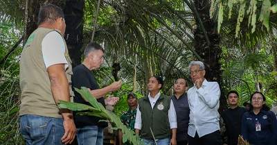 Menhut Siapkan Kawasan Hutan Untuk Bioethanol Dukung Swasembada Energy 1 Menhut