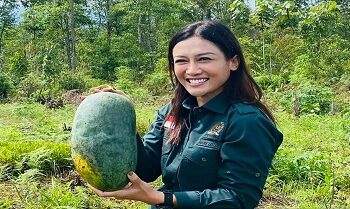 Penyiaran
