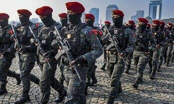 TNI