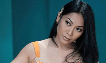 Penyanyi anggun