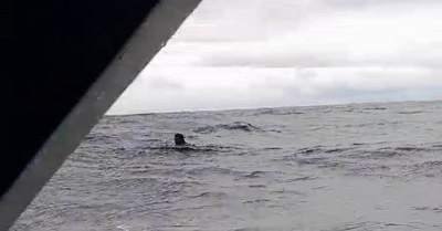 ABK Speedboat Terjatuh di Laut Manipa Selamat 1 ABK Speedboat Tanusang Jaya bernama La Husen (40), Berhasil Selamat.