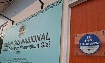 badan gizi nasional