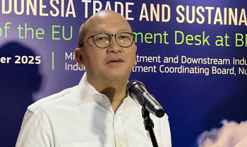 Danantara: Freeport Setuju Lepas 12 Persen Saham ke Indonesia Gratis