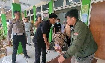 2 Korban Tewas Akibat Bus Terguling di Tol Batang Ibu-Anak