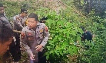 Mayat Bayi Terpotong 3 Ditemukan di Ngarai Sianok: Kepala-Badan Terpisah