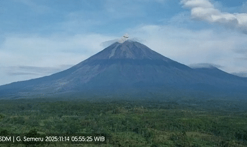 Semeru Erupsi Lagi, Kolom Abu Capai 800 Meter