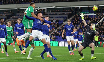 Newcastle Hajar Everton 4-1, Spurs Kembali Tumbang