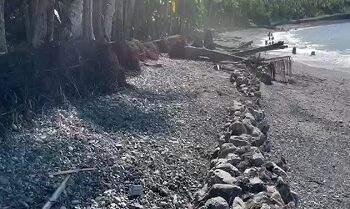 Warga Yamalatu Minta Operasional PT Seram Jaya Dihentikan Akibat Abrasi Pantai