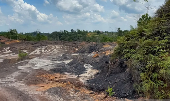 Otorita IKN Perketat Pengawasan Aktivitas Ilegal