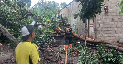 Belasan Rumah di Bondowoso Rusak Diterjang Angin Kencang 1 Belasan Rumah di Bondowoso Rusak Diterjang Angin Kencang